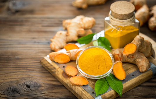 Exploring the Power of Turmeric in Health